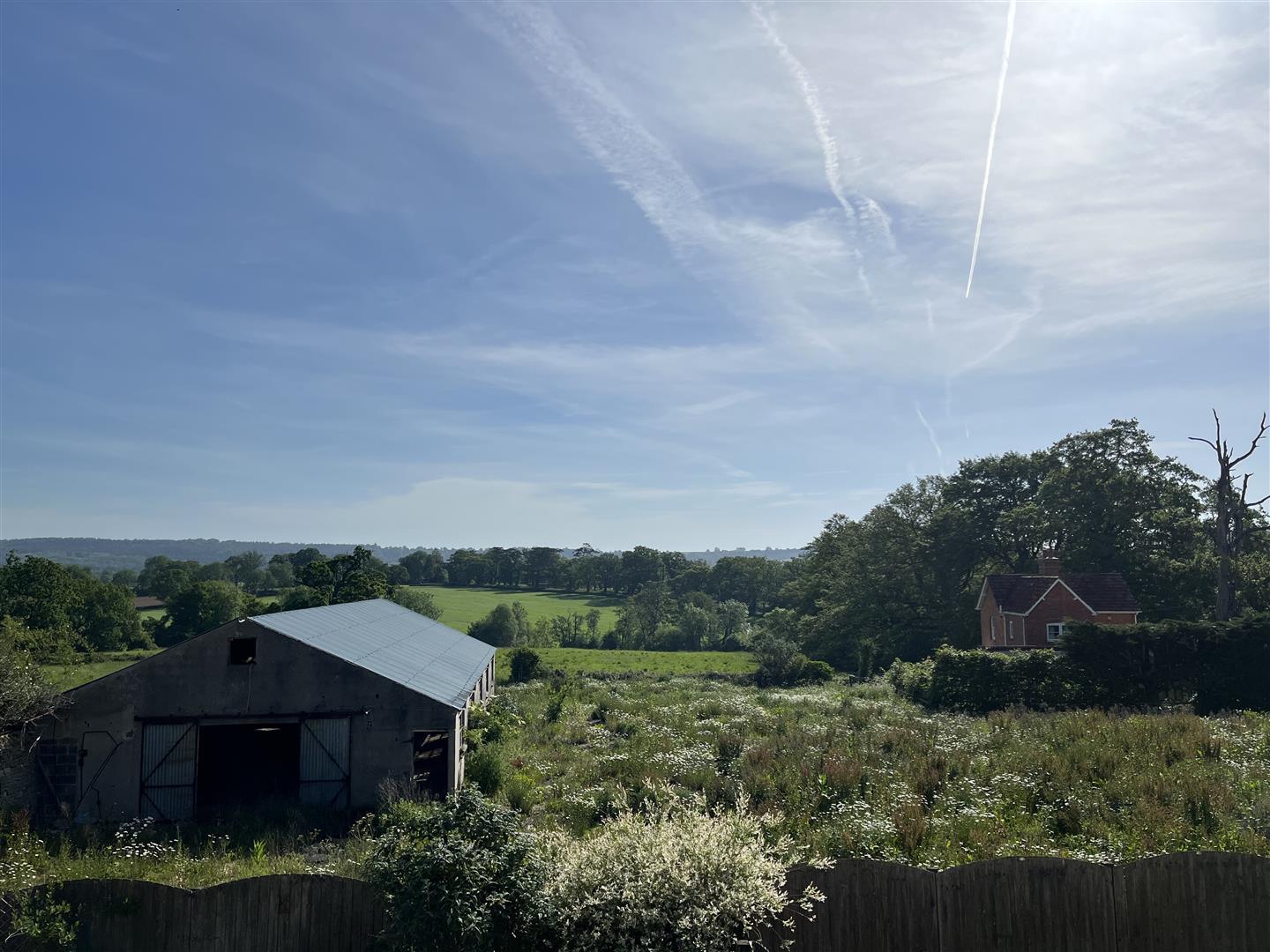 Image 12