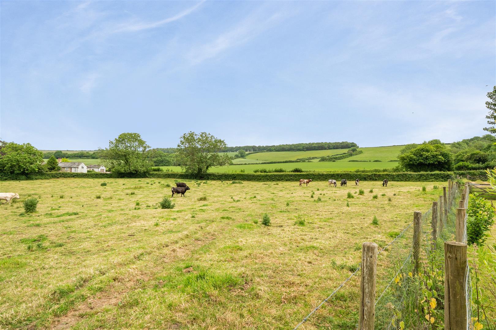 Image 26