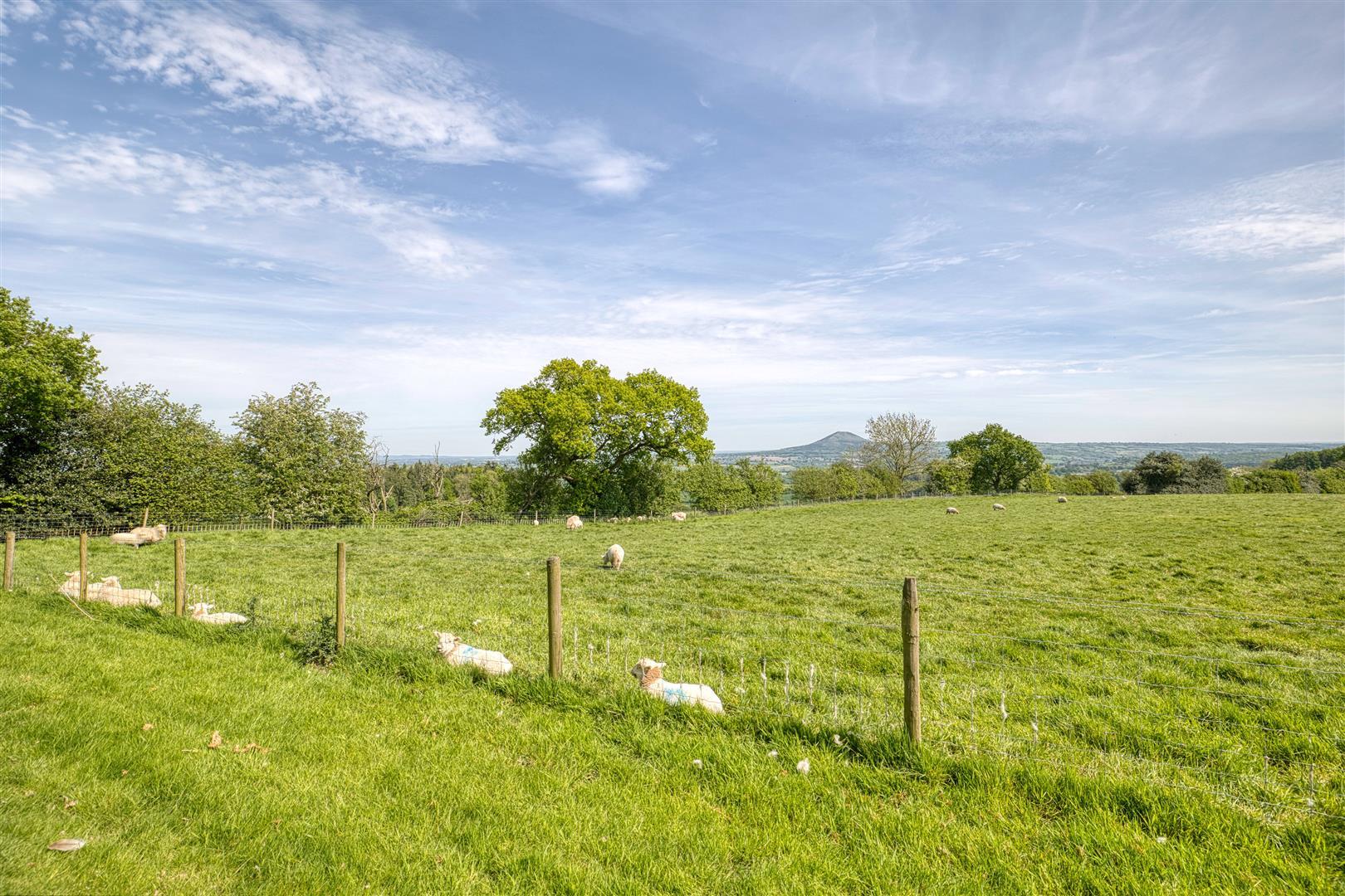 Property Image b2993d45-7b22-4eb1-8812-39c911032ac9
