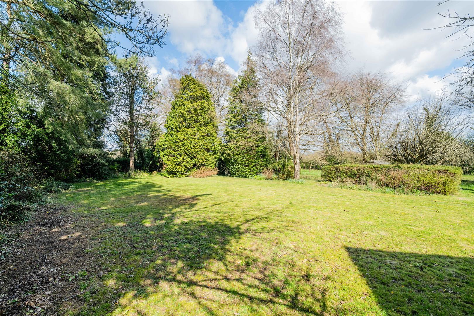 Property Image b2b0223c-5879-47ec-a725-2b821c390e30