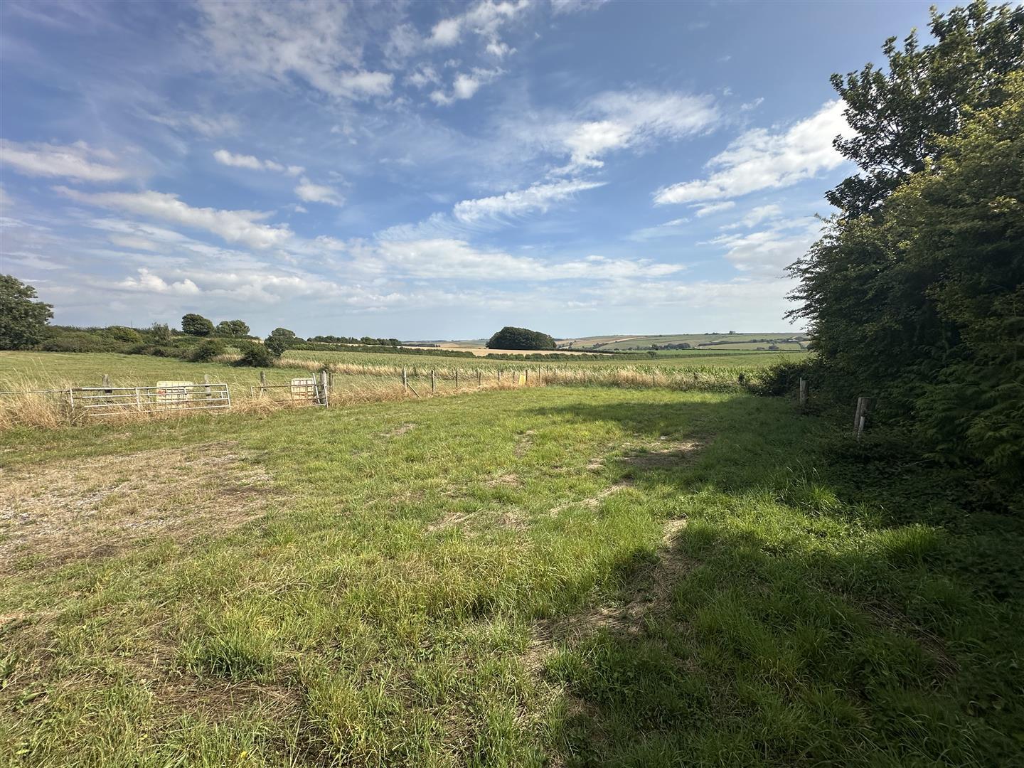 Property Image b2d981b0-ce3a-4ad0-b4c6-dcbf3325f0f7