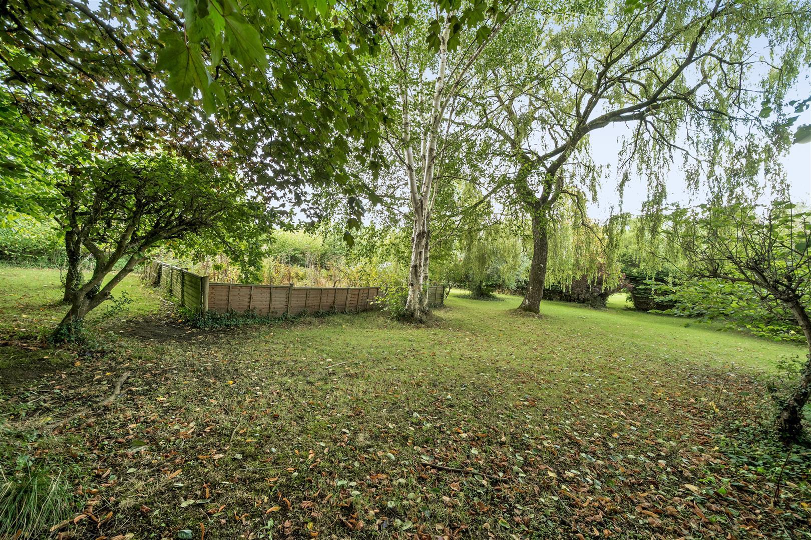 Property Image b34f7fca-d5f7-43ce-bab8-eb1d1637785c