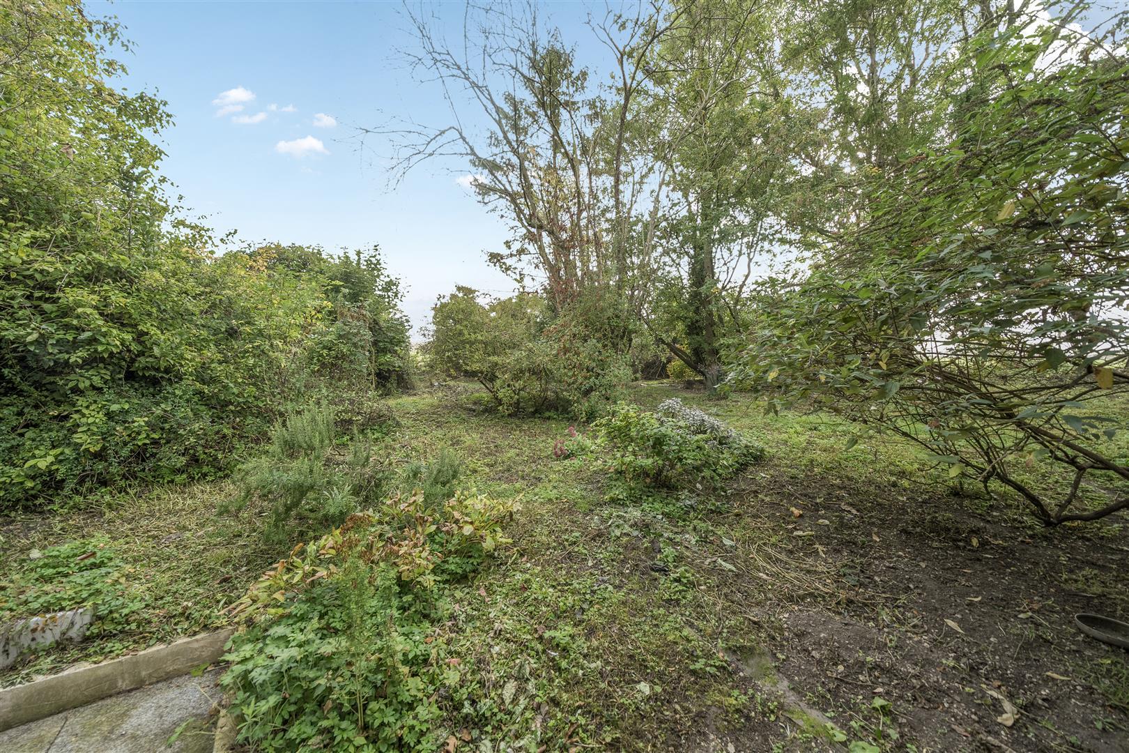 Property Image b352e73e-d0cd-41b9-b27c-391e0fb56572