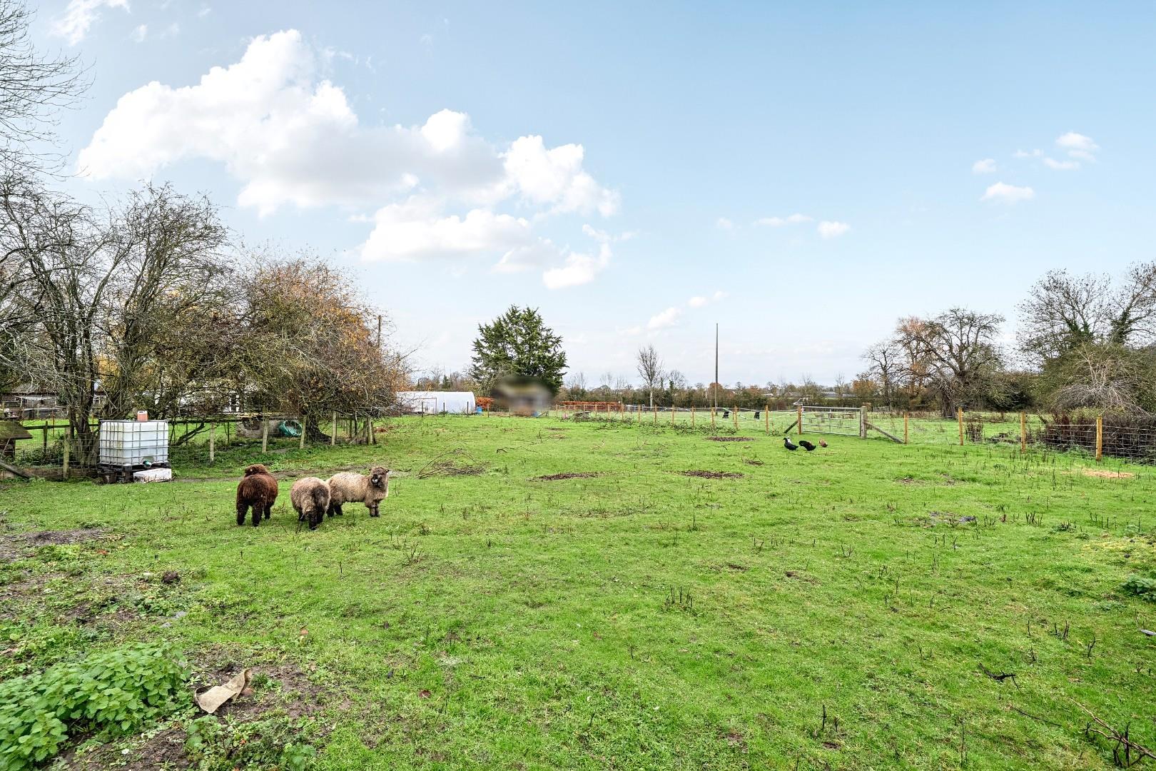 Property Image b37c6aab-4fd6-457a-9810-650e1007dabb