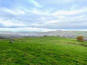 Property Image b38cc46a-c759-4d75-b937-dcee0d76bac5