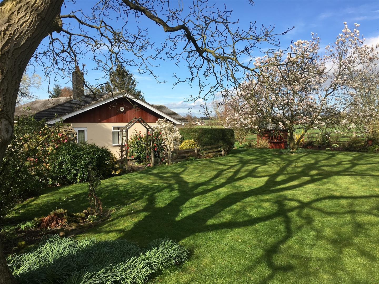 Property Image b39b29db-b8f4-4074-ad4c-86a698a2159f