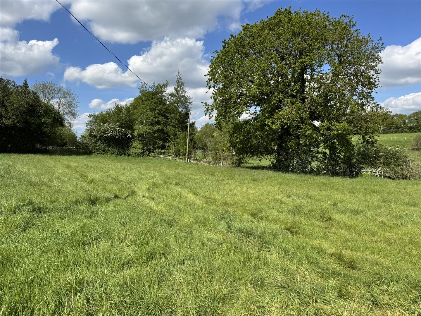 Property Image b40537a0-5b3d-43b7-ba5b-27911740d68e