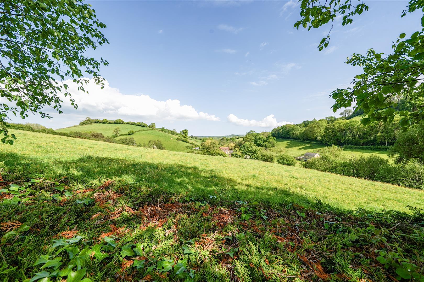 Property Image b4060fef-dfbb-4749-8b18-6fc81d18fa94