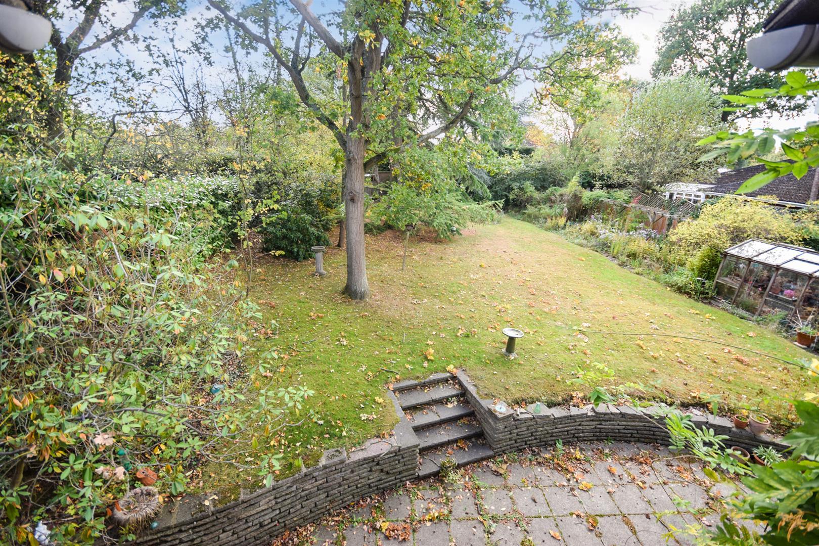 Property Image b40ed570-fcae-4065-a26b-d17e8179db0a