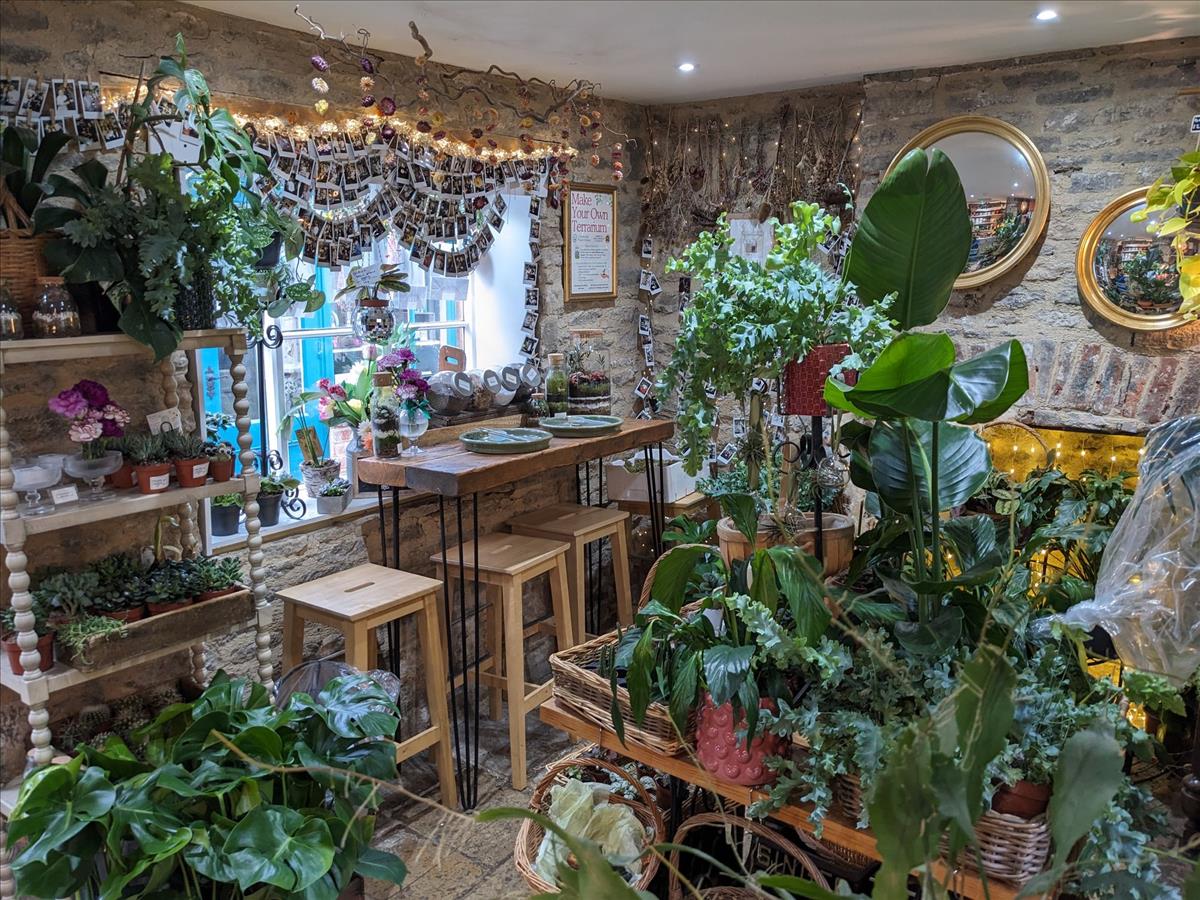 Property Image b4231a07-544b-421d-a560-08610befc58d