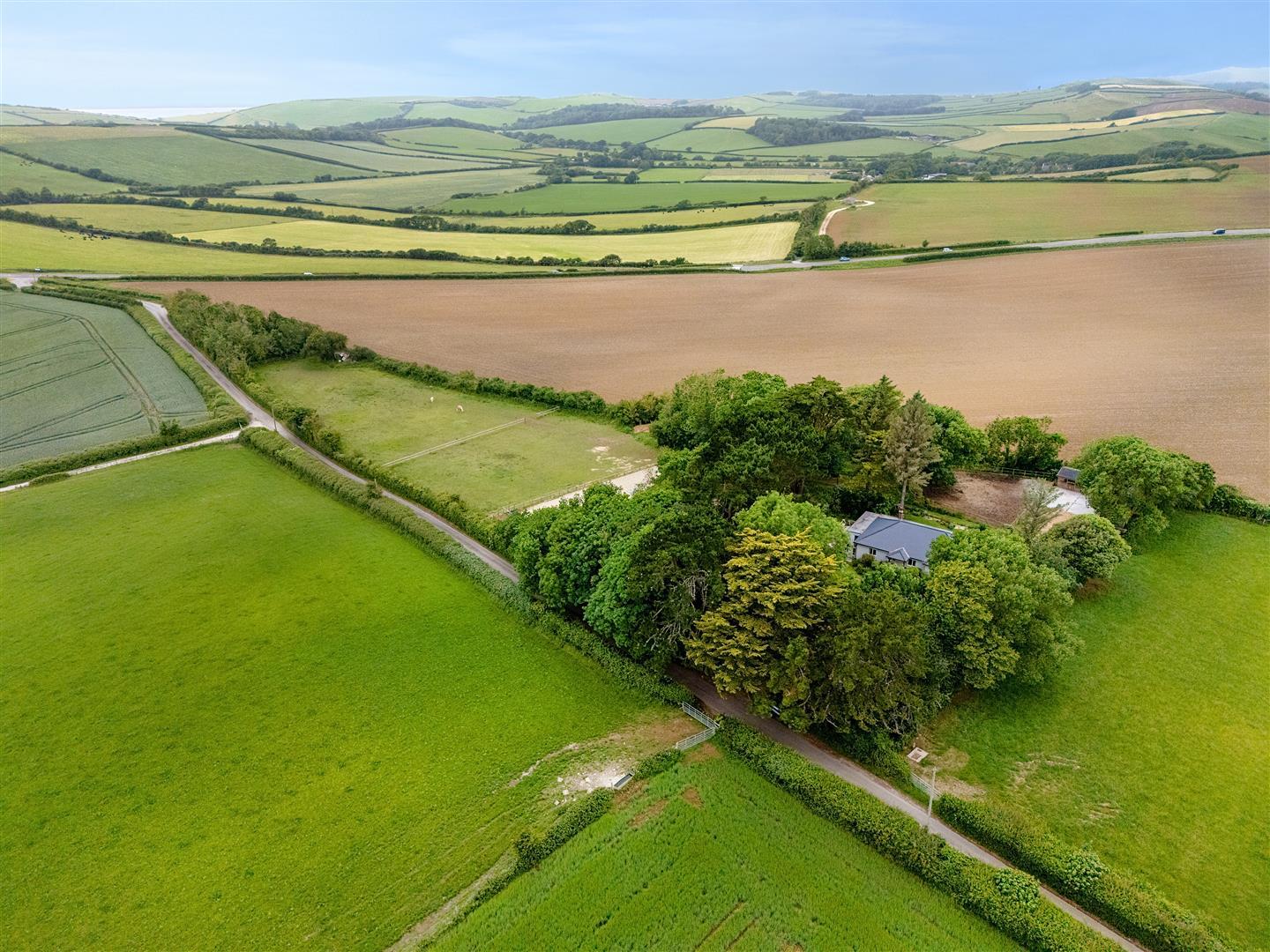 Property Image b43d921b-6b97-4838-b686-5135c6812821