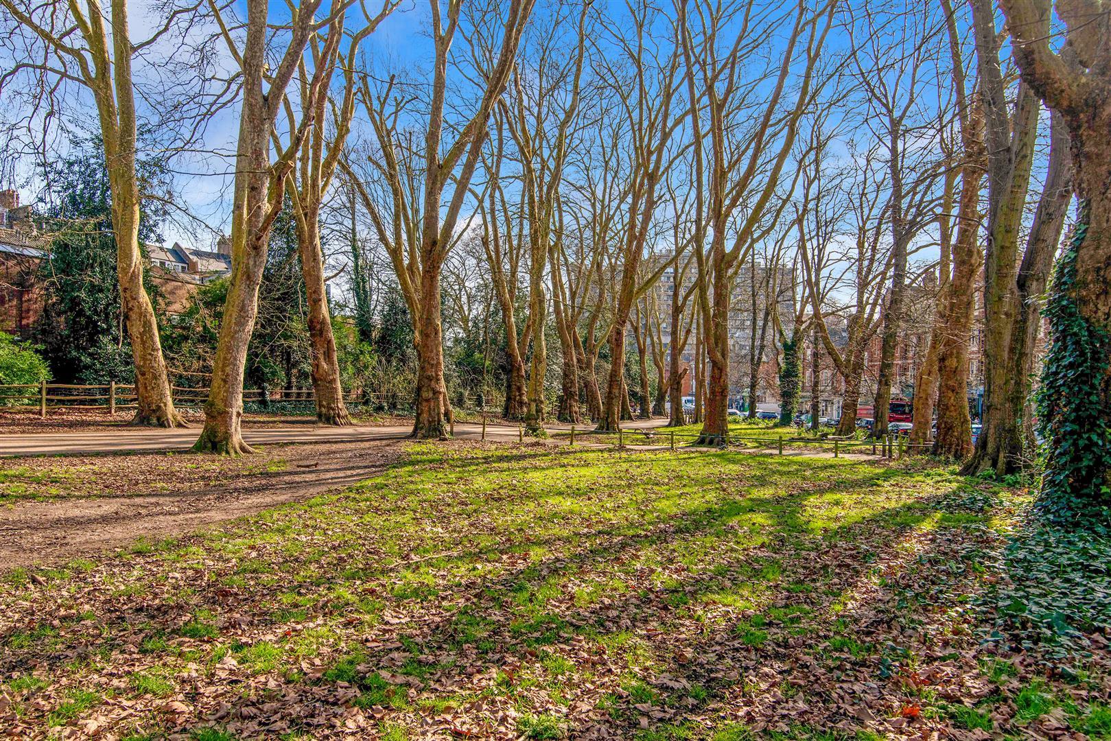 Property Image b44d17ab-2952-47b4-8e55-6dbef23820c9