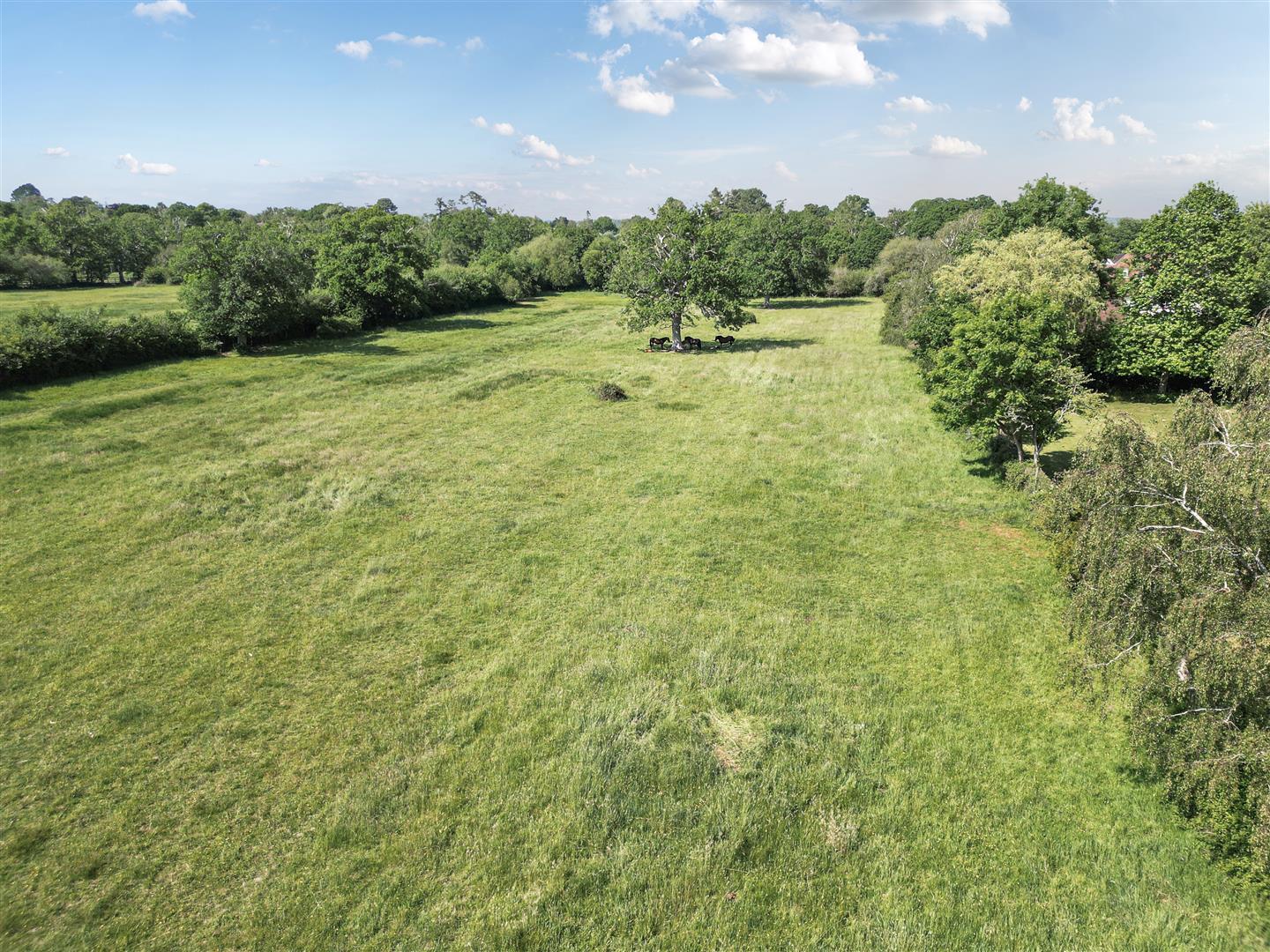 Property Image b490992f-5793-43dc-b1cd-60cfe1c3c913