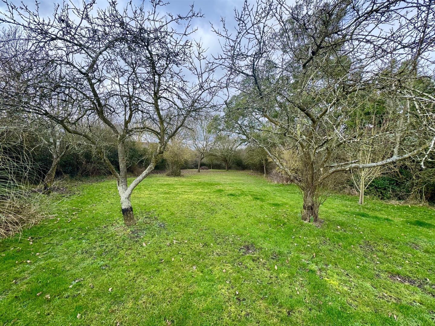 Property Image b4a36ecd-1117-4da9-a62c-7498ff5d1739