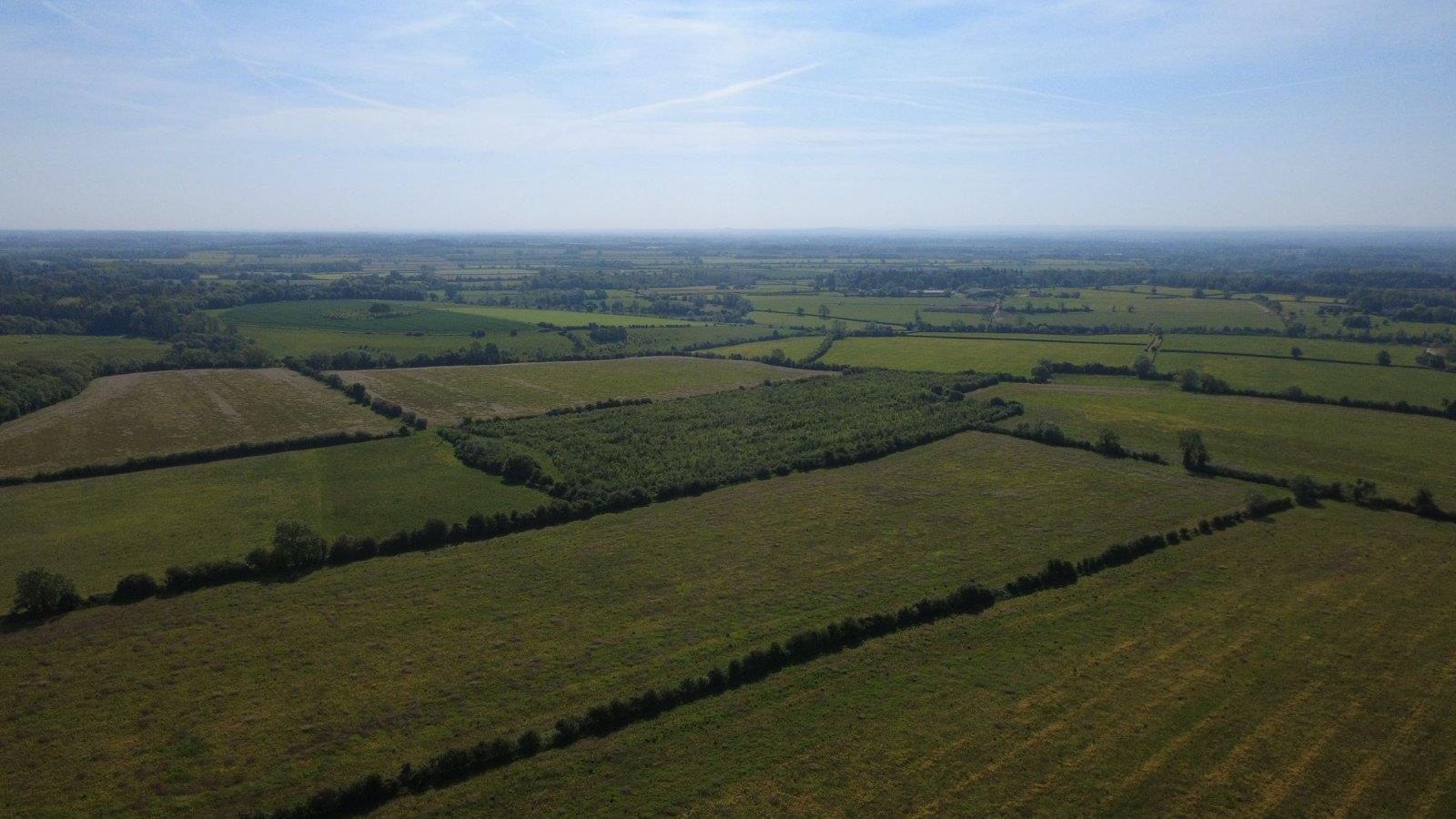 Property Image b4ac51e8-406f-4346-aebe-ce2c70a906ae
