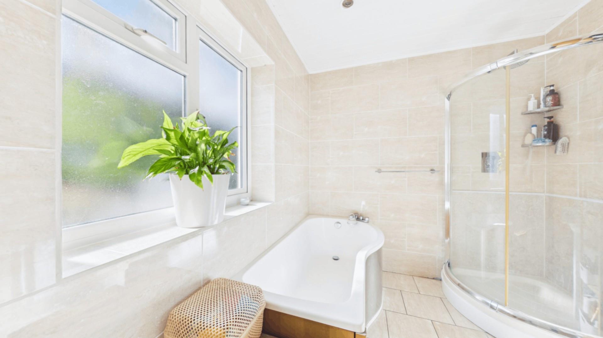 Property Image b4c52f60-56d3-45fc-9e22-1d3bf6399ccc