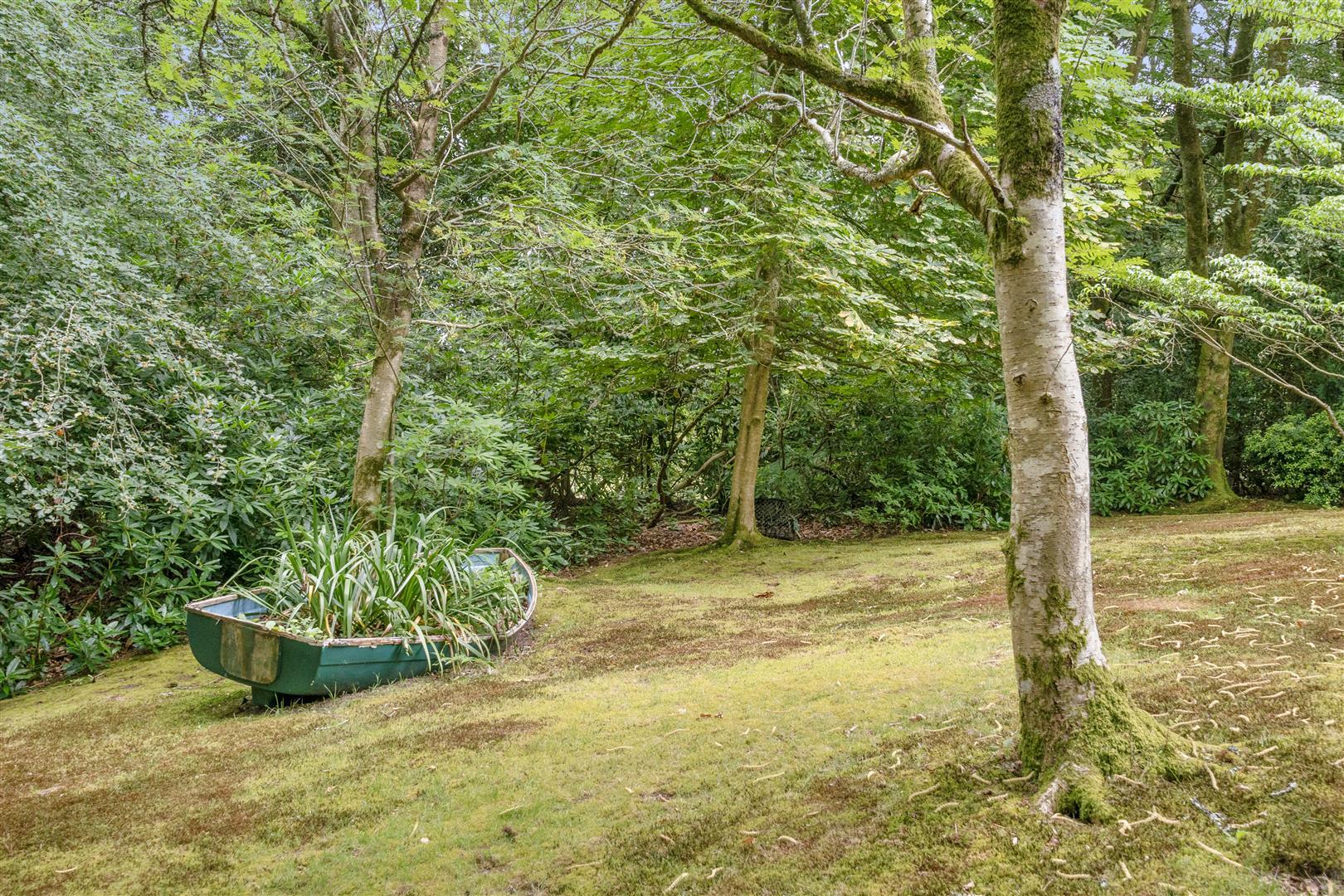 Property Image b5013087-03a4-458c-89ac-f500d38e8f3b