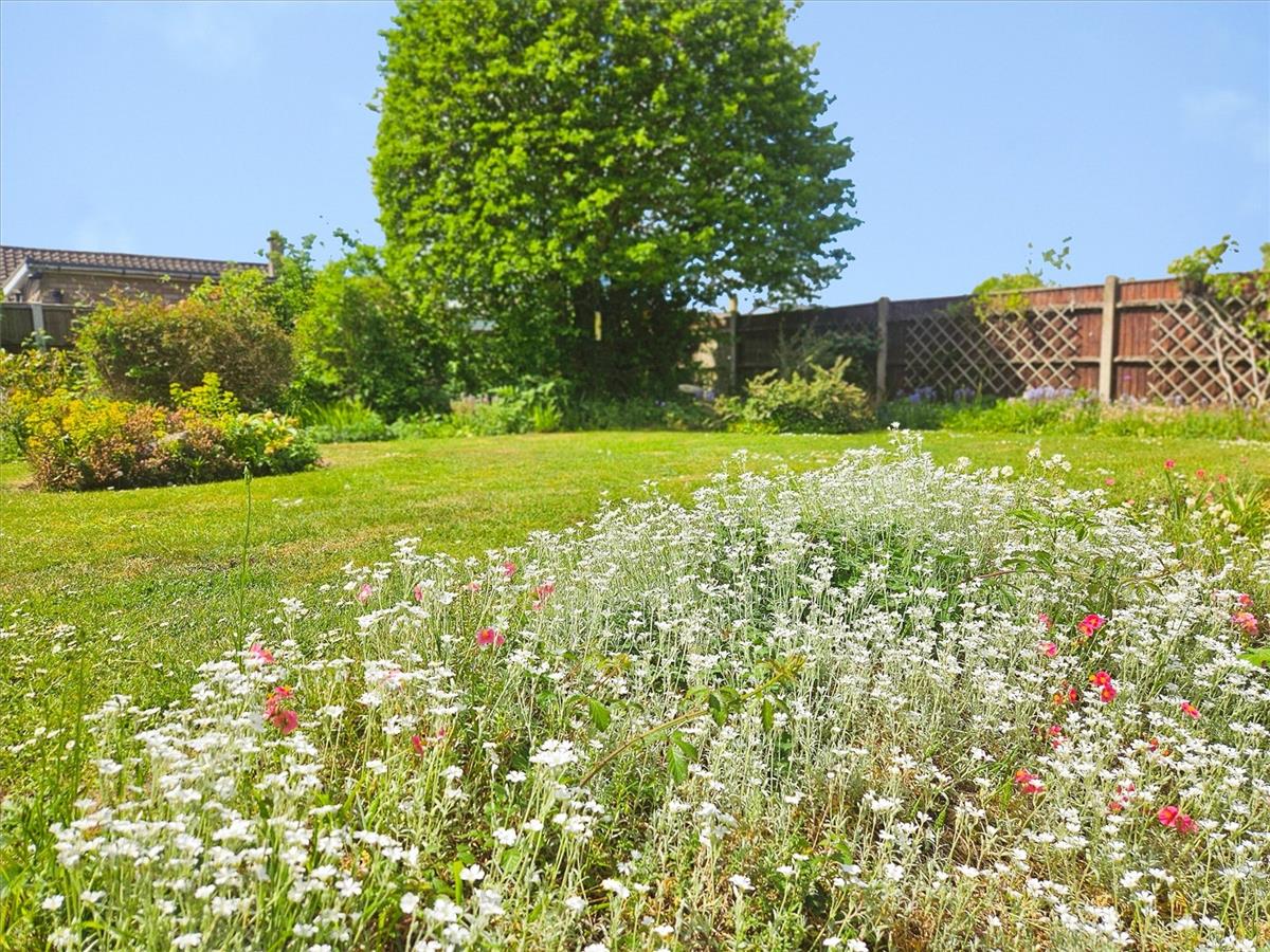Property Image b53e4484-e80a-4a0f-a16a-b32a8a0834d5