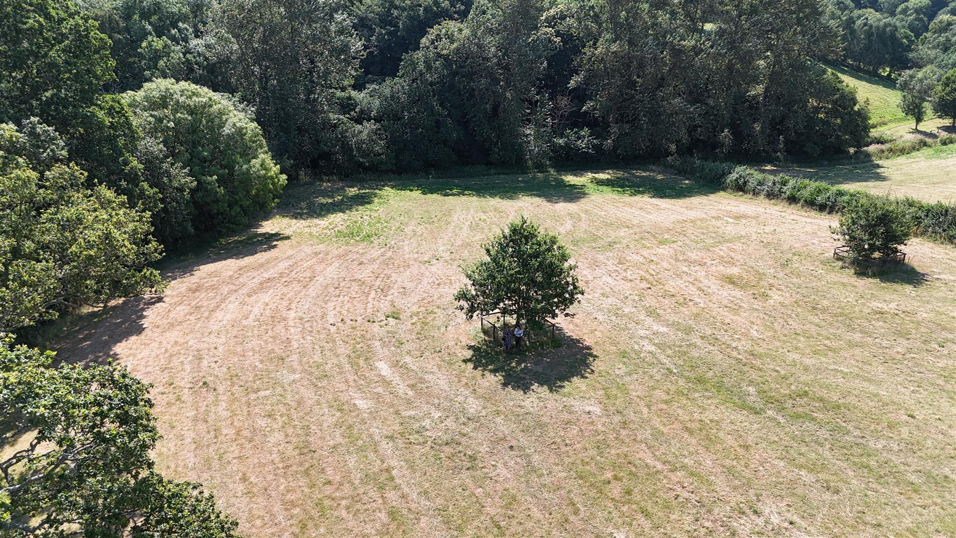 Property Image b58c51ea-c39e-4ded-b149-9b79869e098e