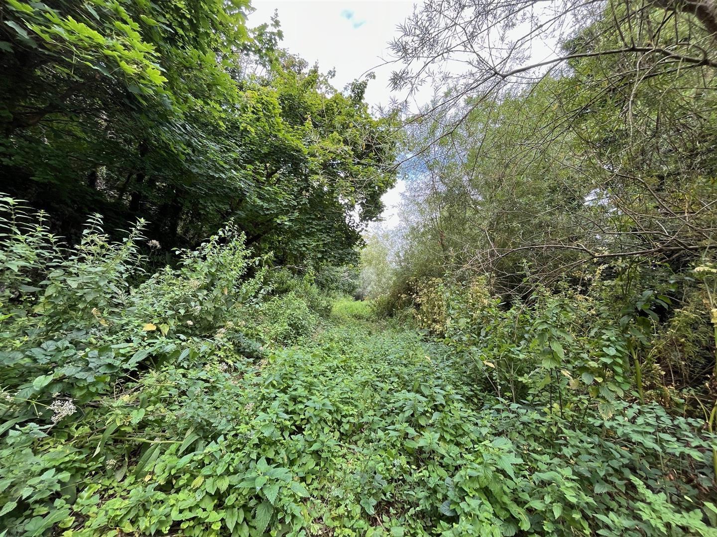 Property Image b5d1c624-1fd3-4862-b26a-786aa0329894