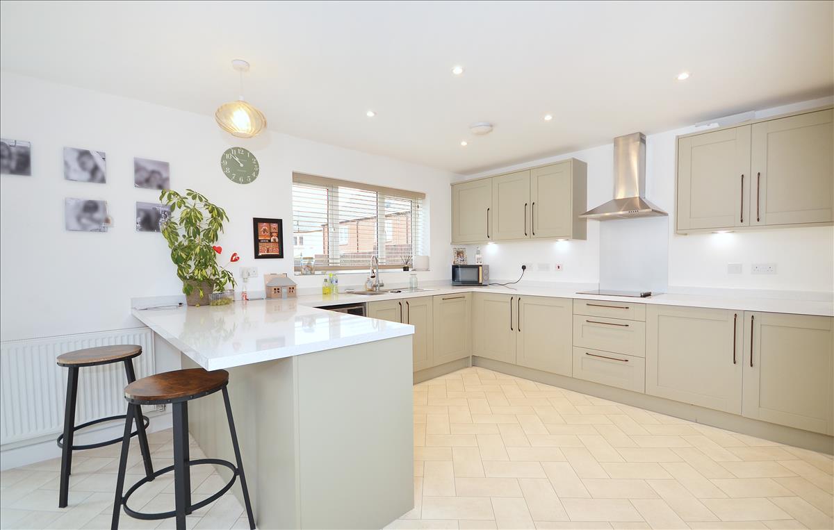 Property Image b5fc5a95-ff08-46f8-a49b-2b90c837bf6a