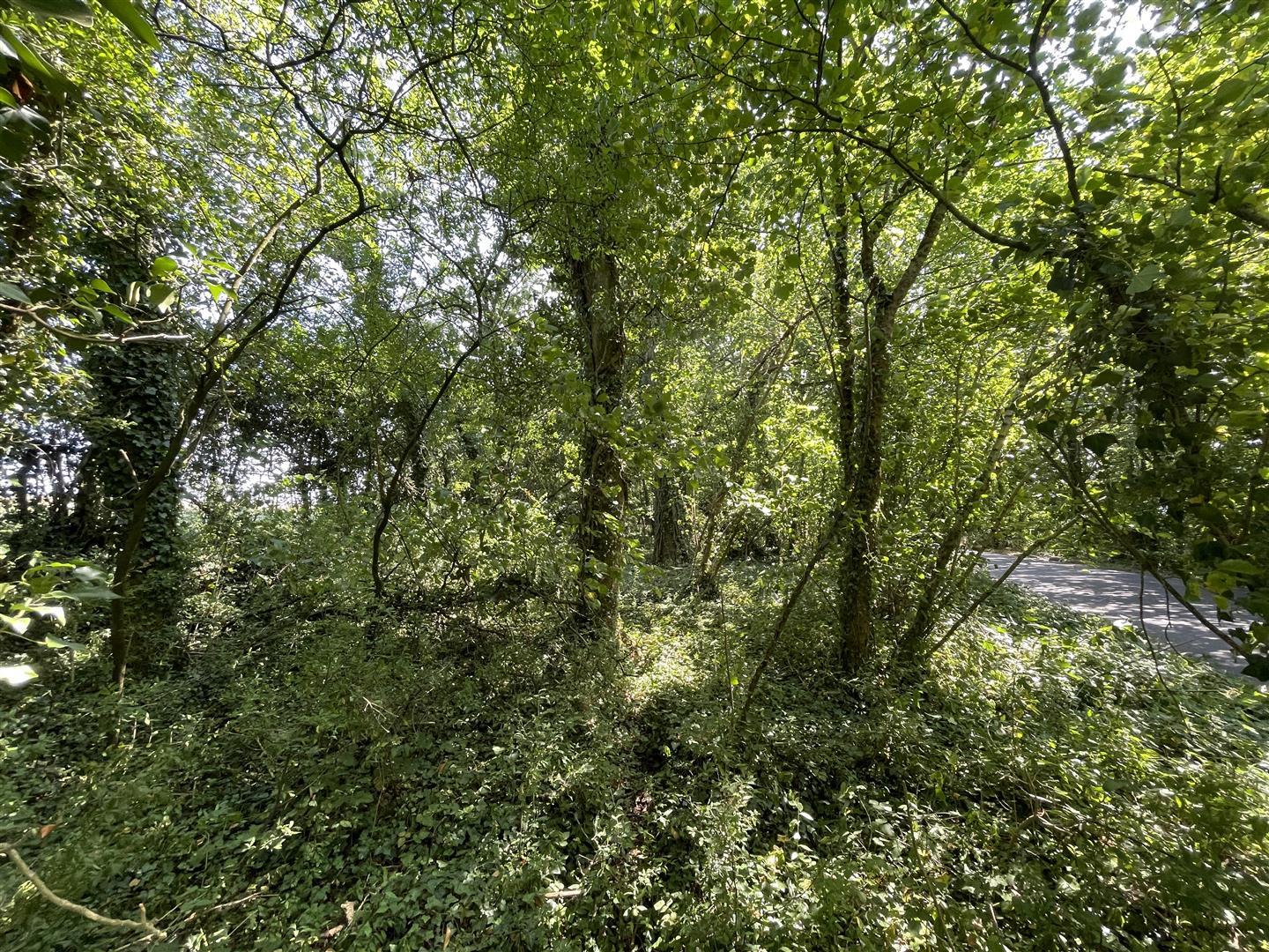 Property Image b6230de1-b70c-464a-a4e8-1c1a2995e13f