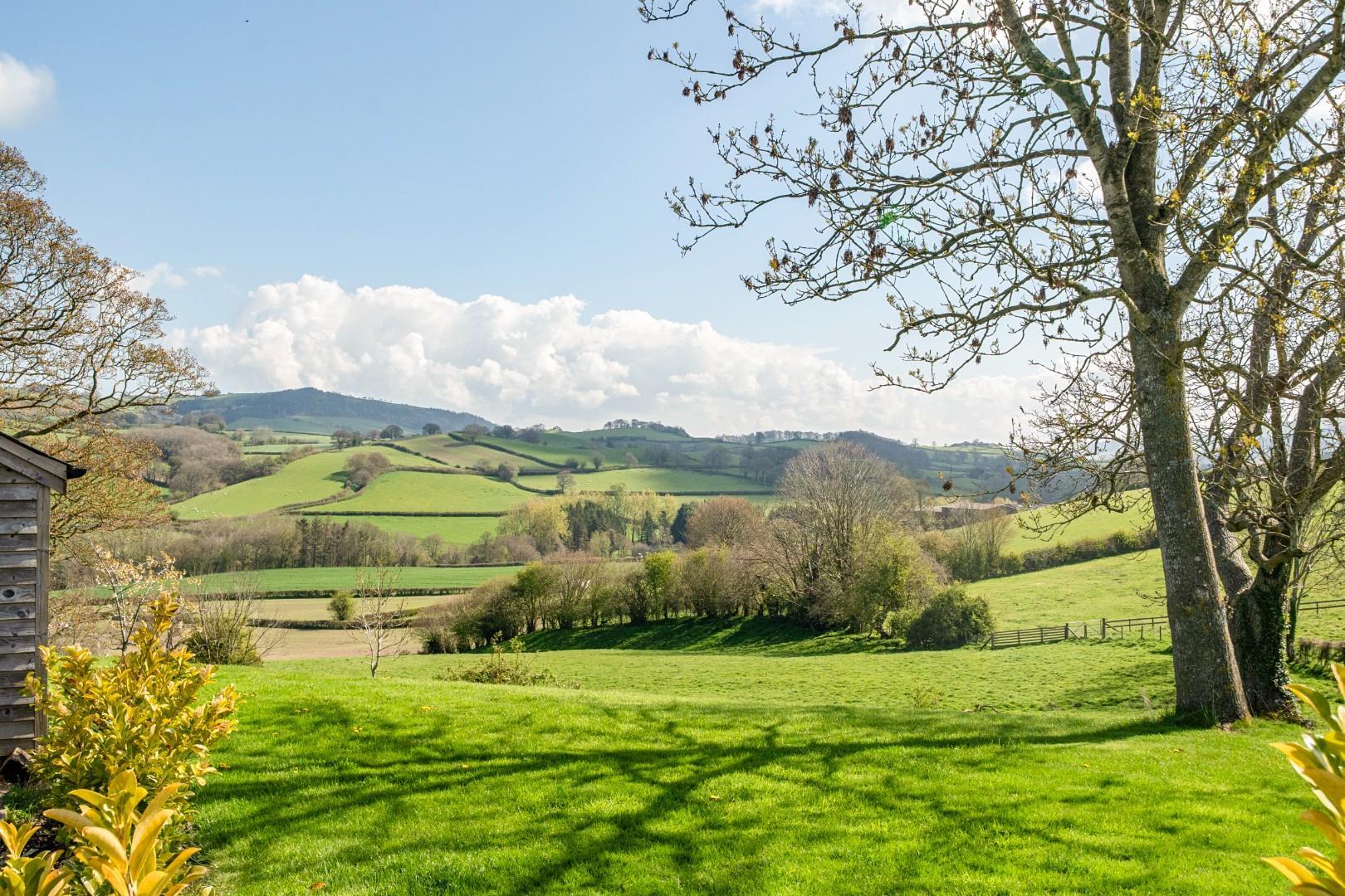 Property Image b6257e80-ee1b-49e2-8e8c-af562c4a2275