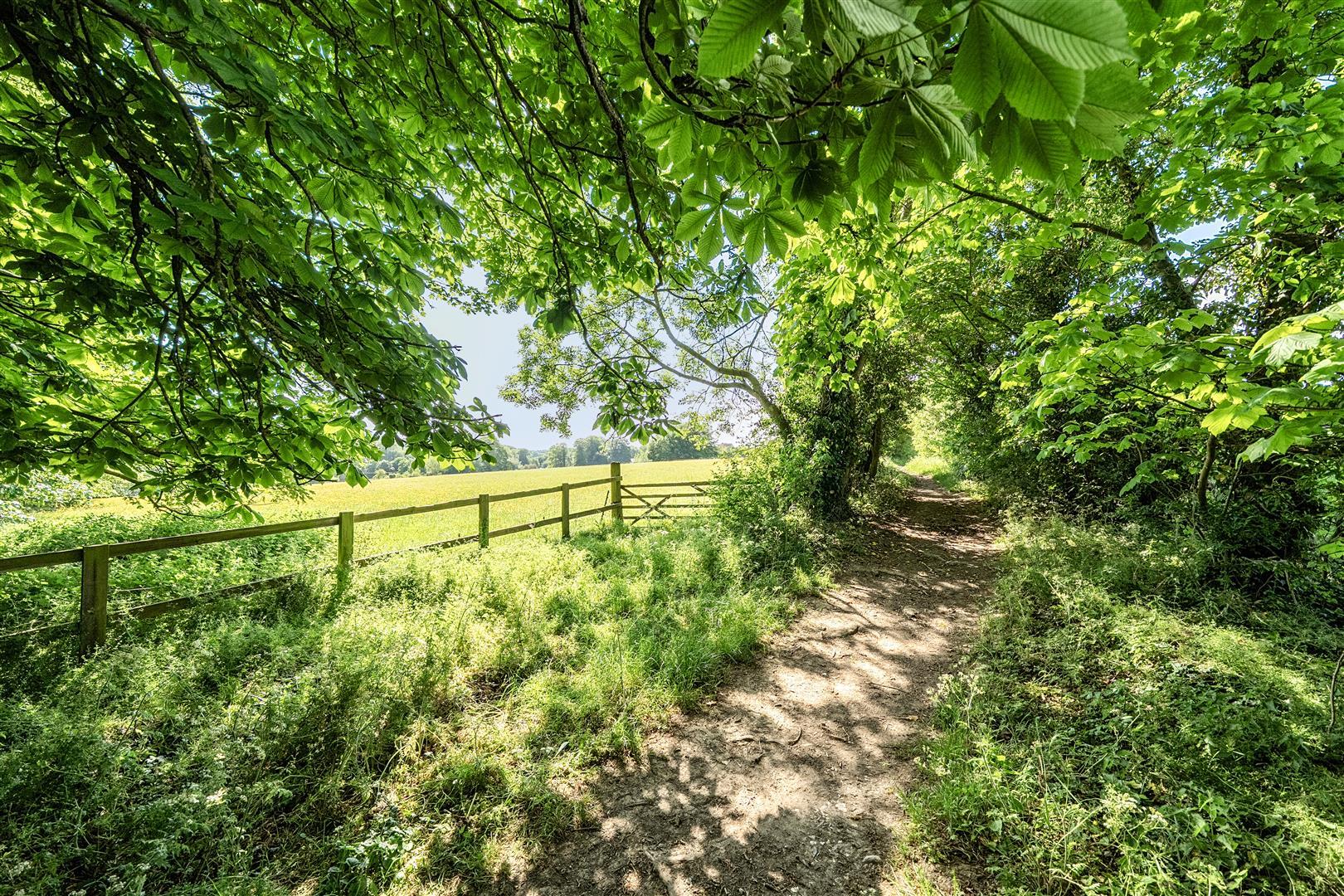 Property Image b63a4d60-c842-484f-8297-84083566ef40