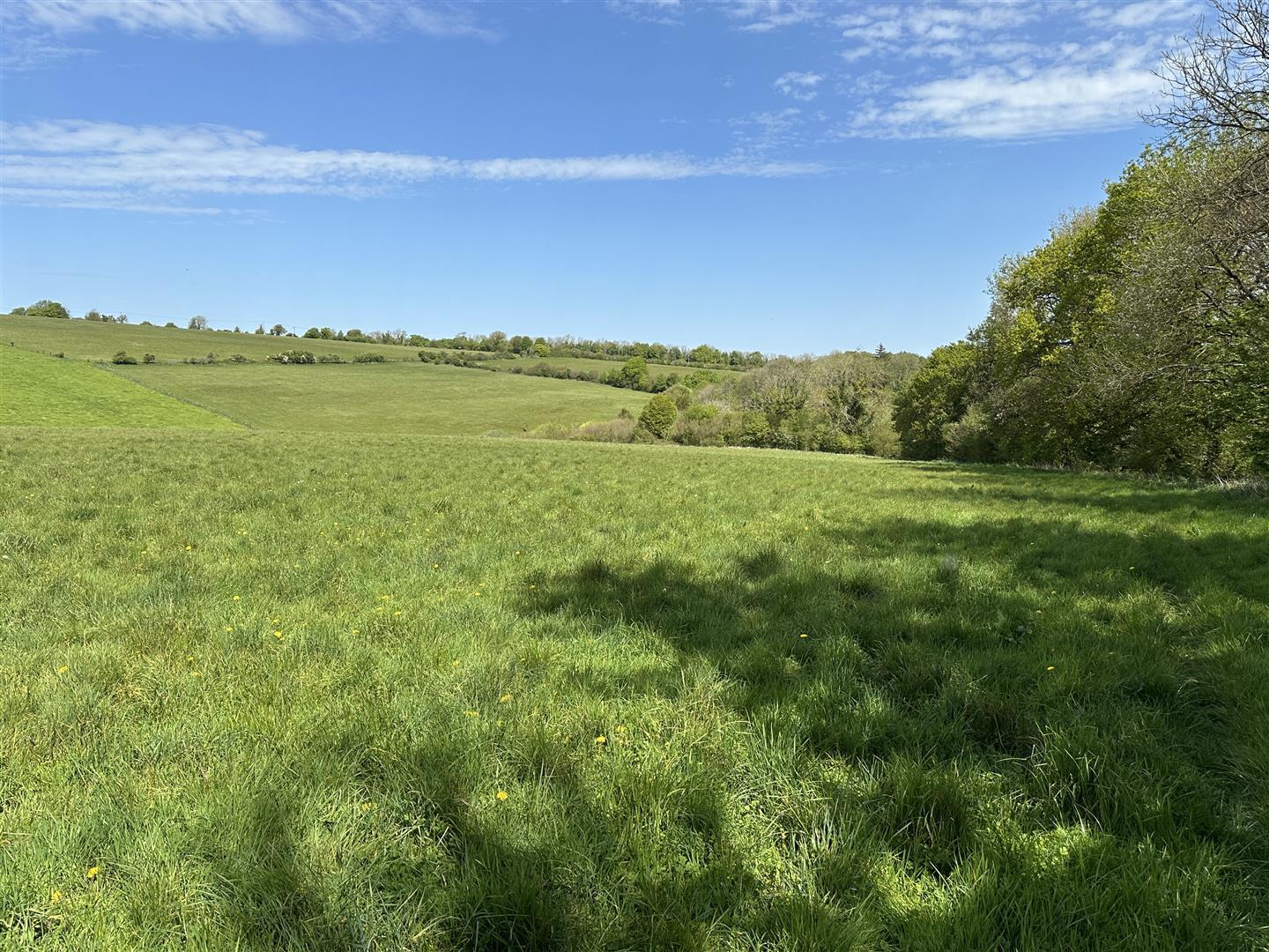 Property Image b648f3c9-395d-4e45-b7b8-c3f3c1e52497