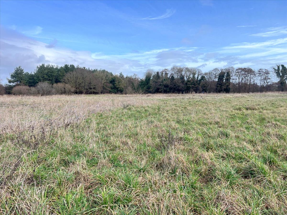 Property Image b6864a69-d1bc-4911-b1f4-015dbdb962d6