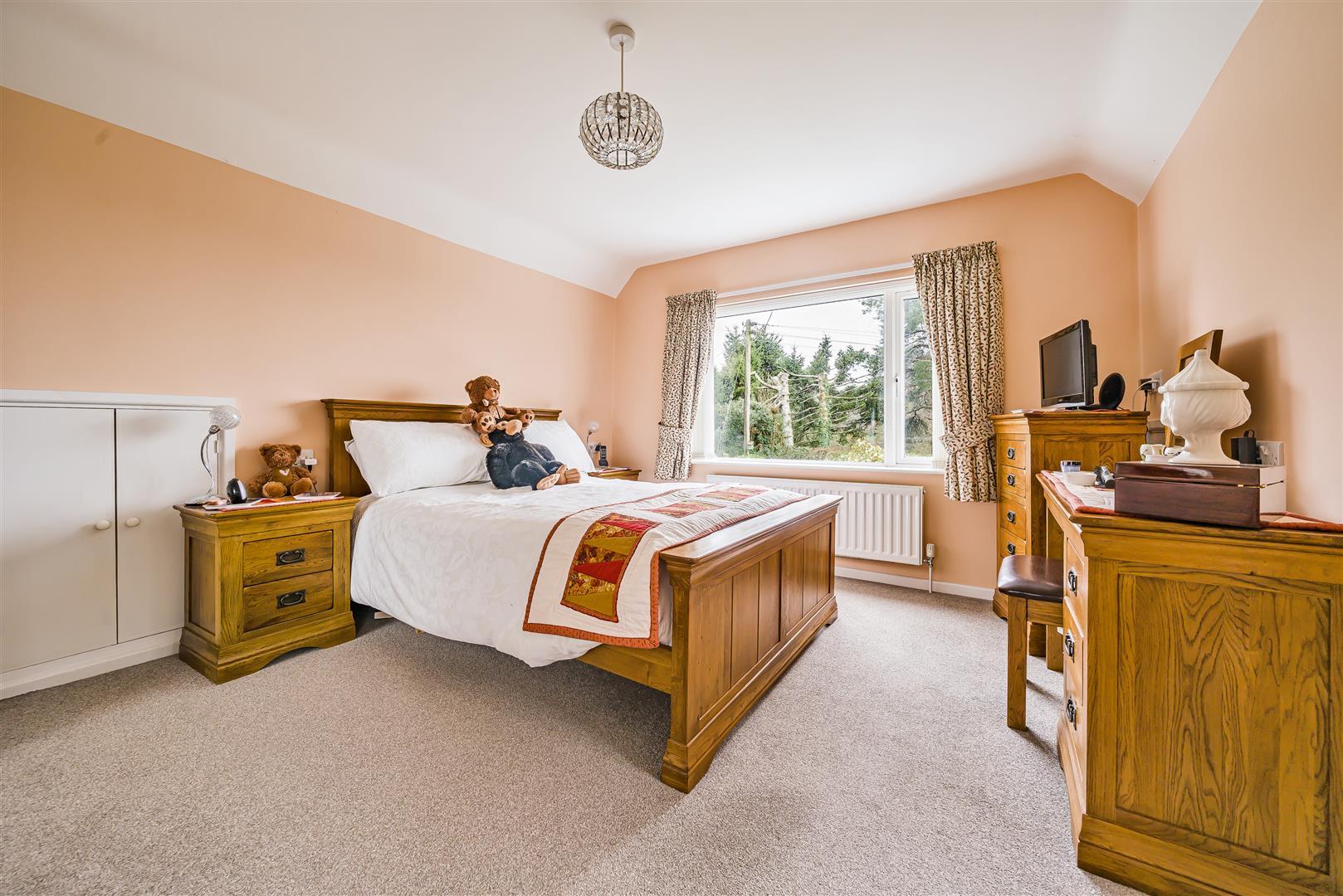 Property Image b6941aa6-946f-4b94-b64e-6f3619c83d42