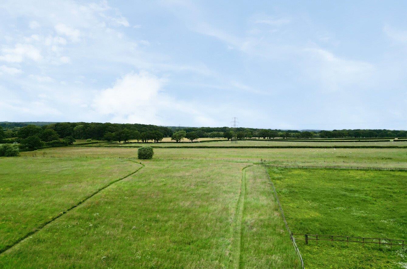Image 14