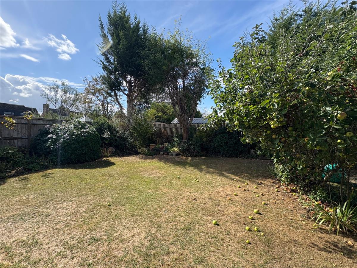Property Image b72a14bc-e68f-45b0-9400-66ad43eef8ff