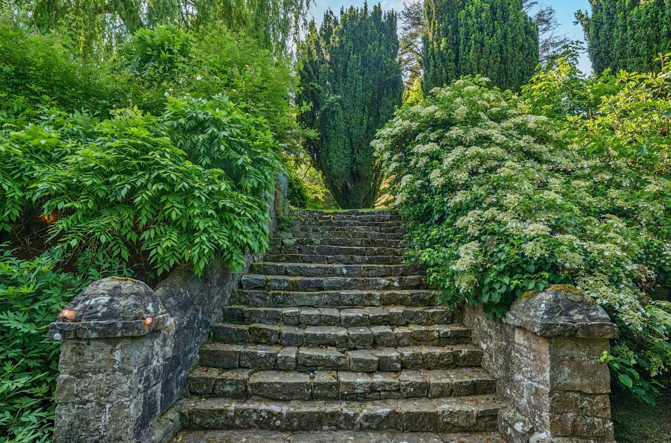 Property Image b758cb9a-2f84-4c4c-9776-949dba3ed9c9