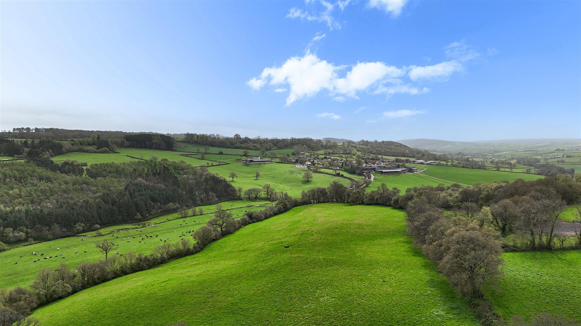 Property Image b79140d4-62bf-4857-8747-e2123a123388