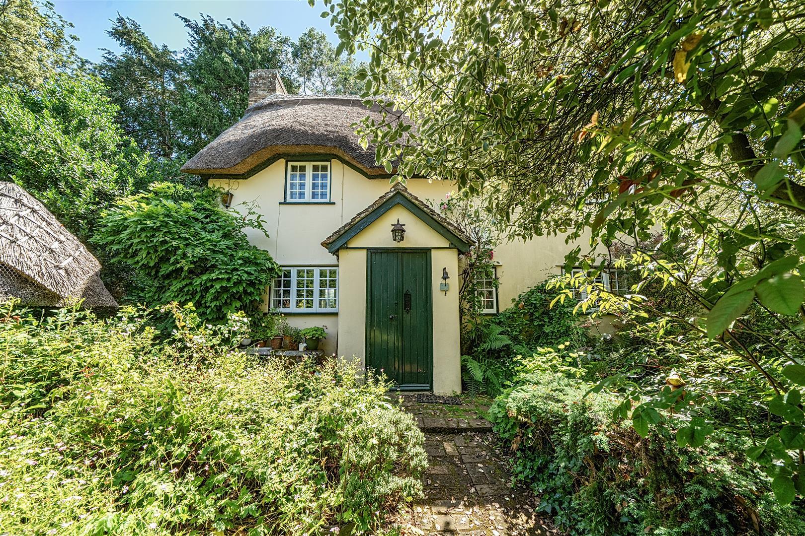 Property Image b7a2ef3f-8cc7-4235-96aa-fc6313ada8a5