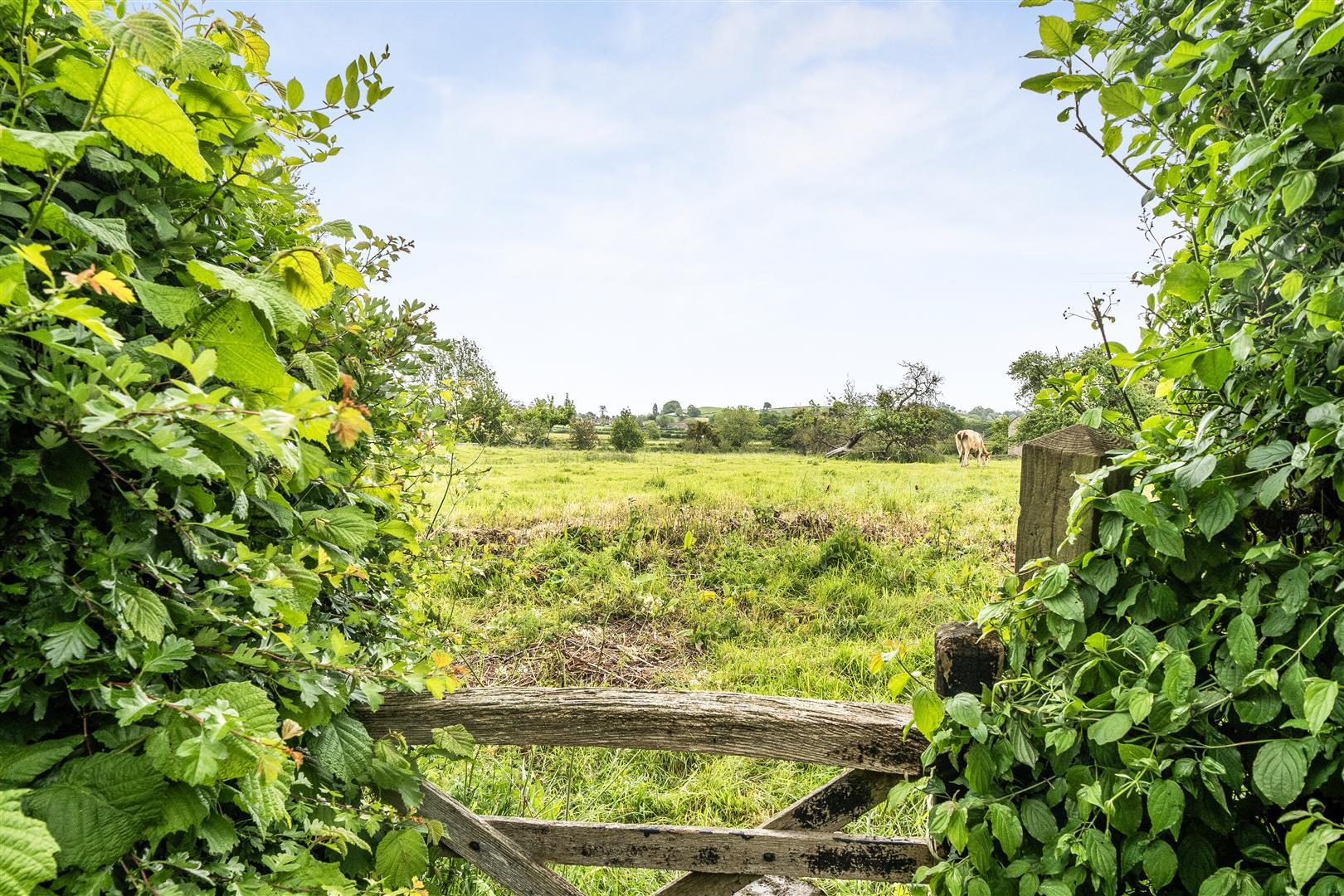 Image 18