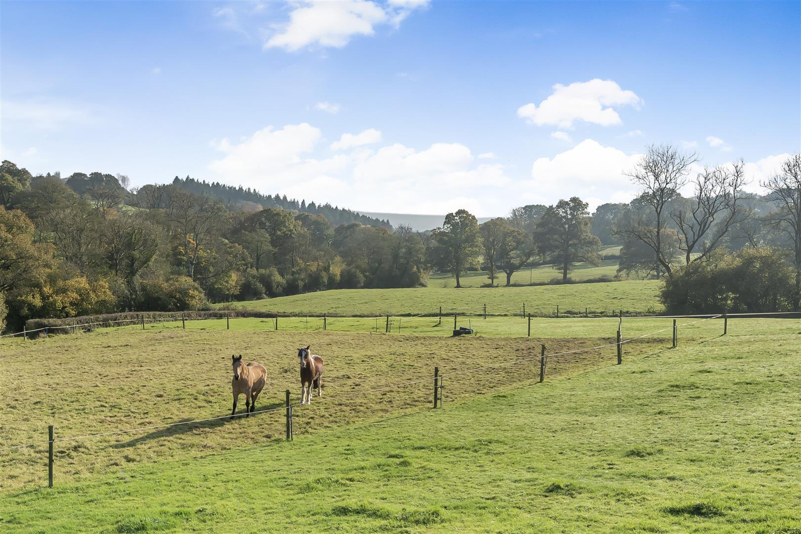 Property Image b7b73ae0-4a65-4b1f-b04c-c38d7d3917be
