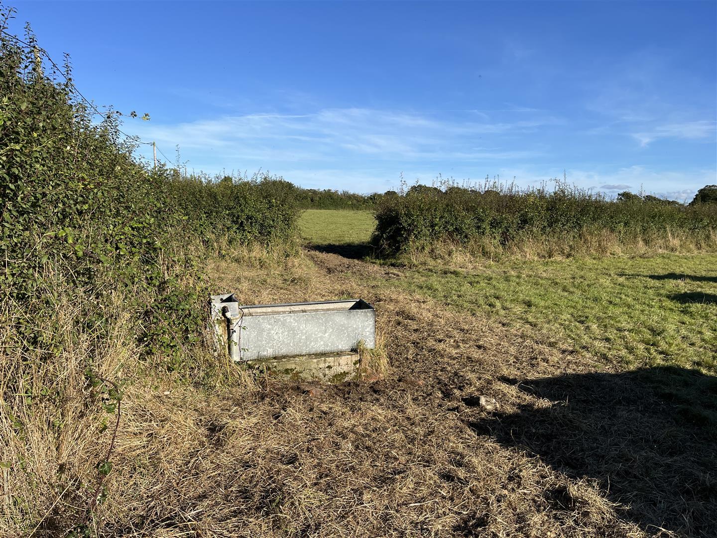 Property Image b7bd304d-c3d0-4e14-b3e5-eaa7c7548bc4