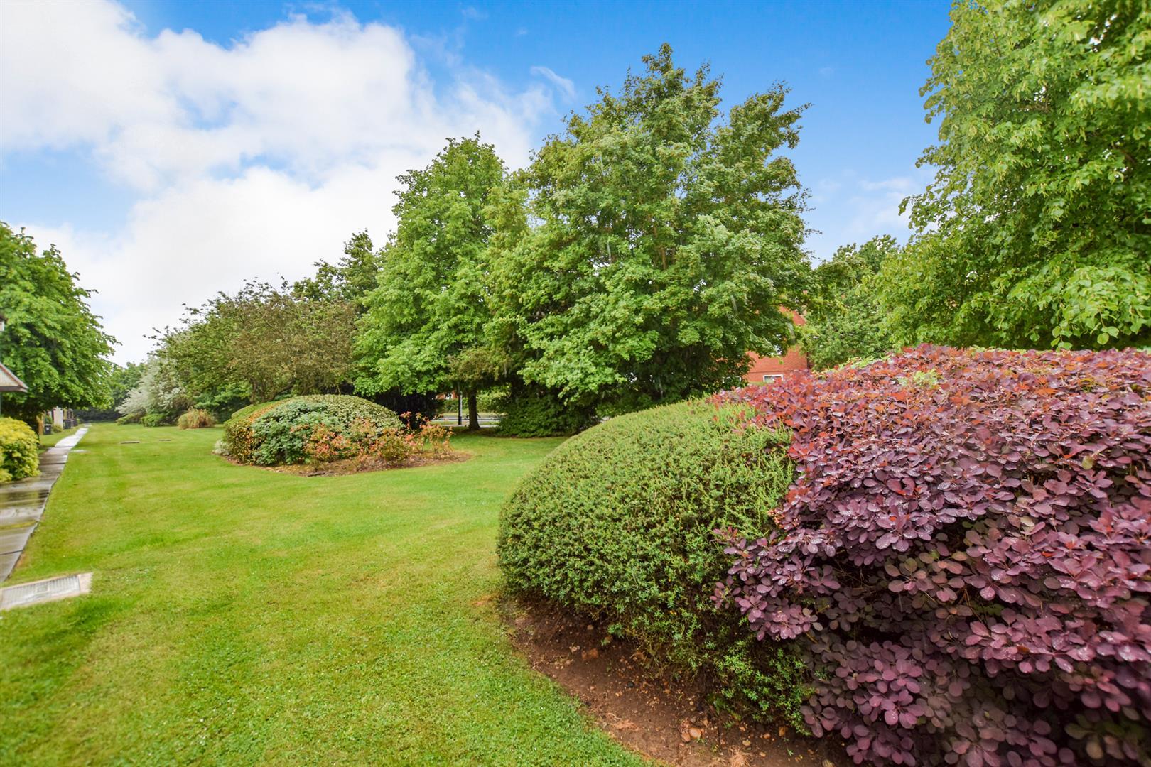 Property Image b7d729a3-00de-47f6-8fbf-19a14205a6a9
