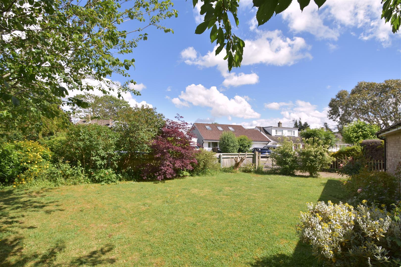 Property Image b8010a91-095e-4427-8e29-1d5ed2900a2c