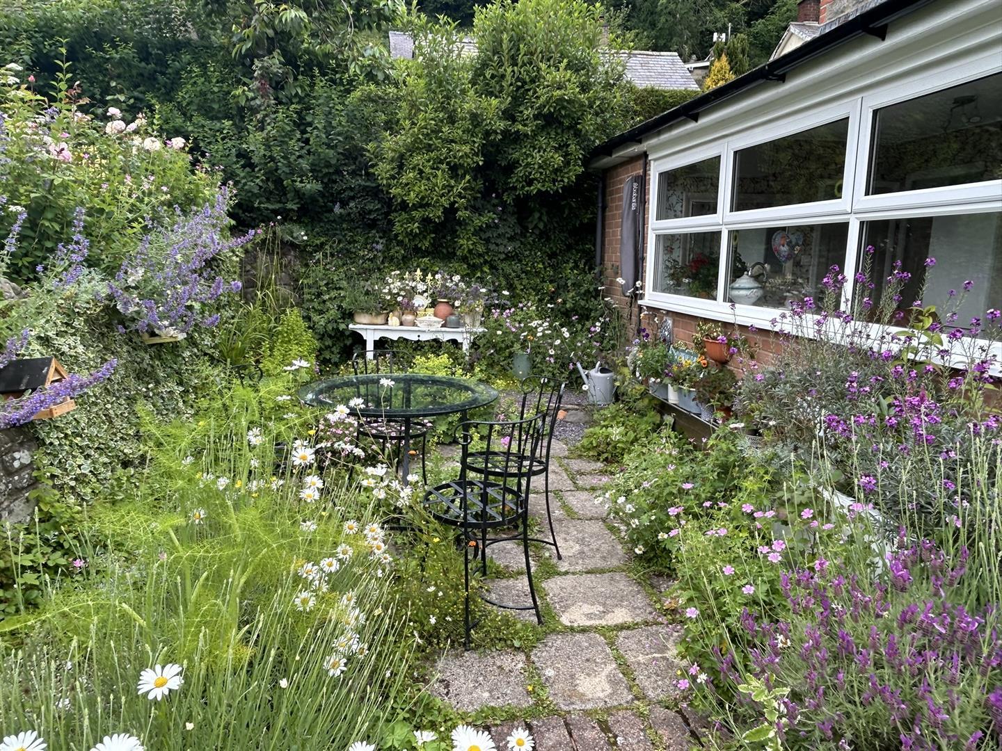 Image 26