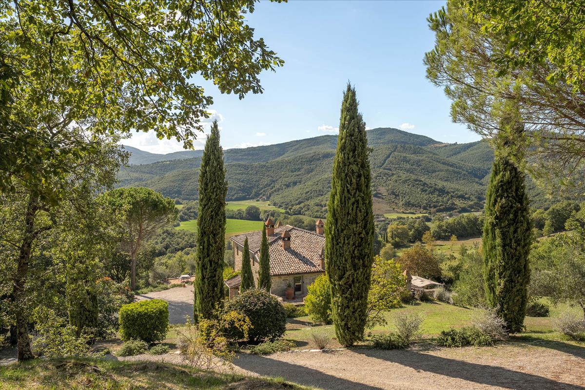 Property Image b85a9a46-feeb-40a9-9b33-c42552c683f4