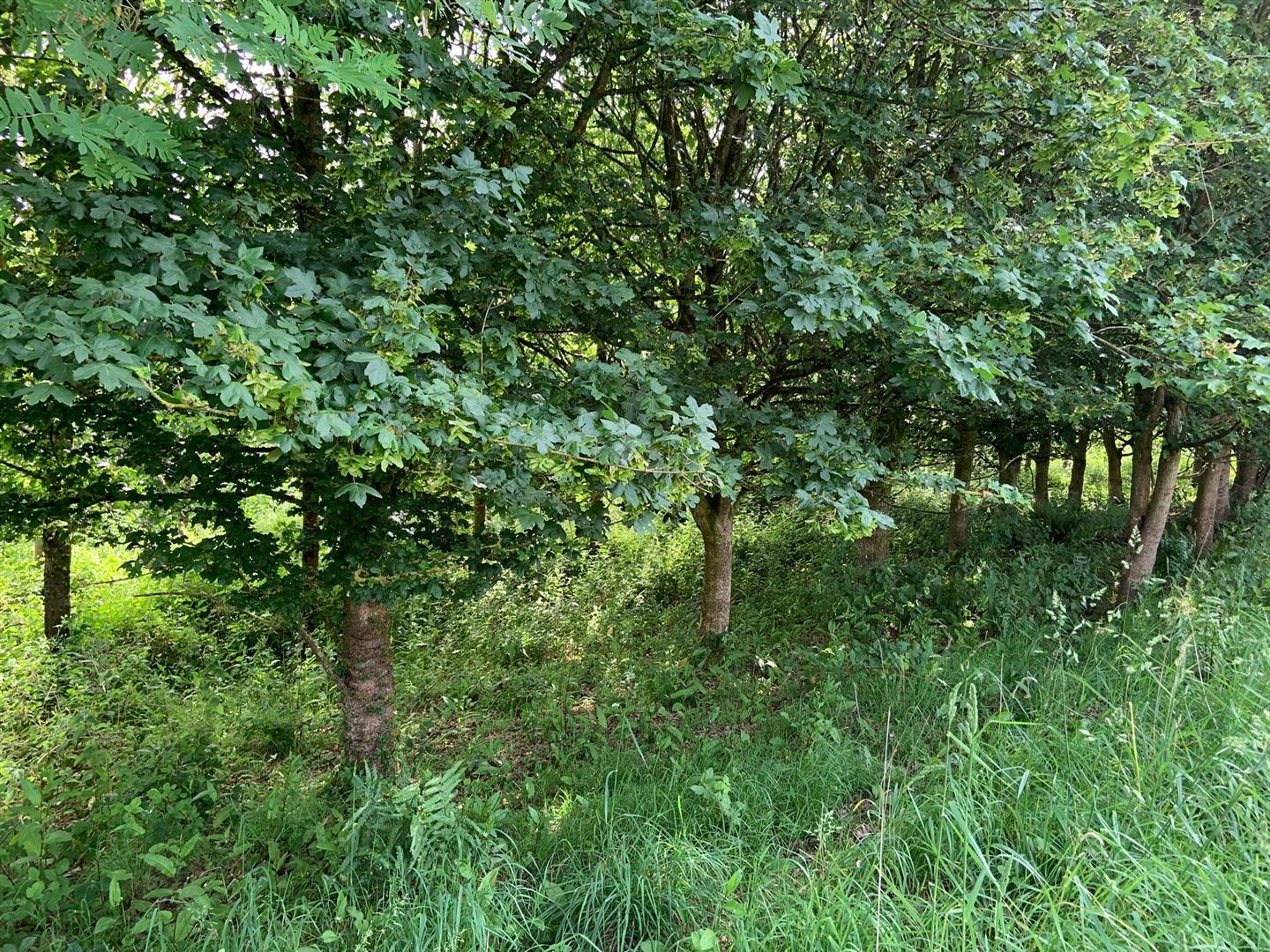 Property Image b8c0ee95-09c3-40d8-9fee-e1bcc981f083