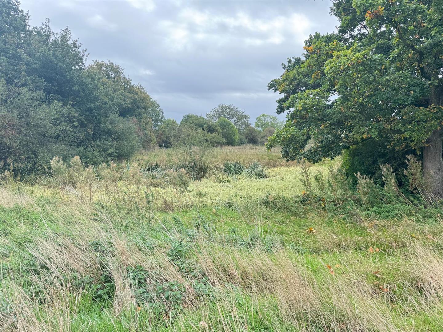 Property Image b8f55206-83d3-4f9d-8ec6-9407f542d941