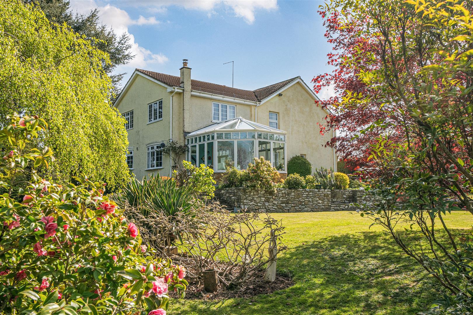 Property Image b8ff4786-928c-439a-83b4-333c888e5b4f