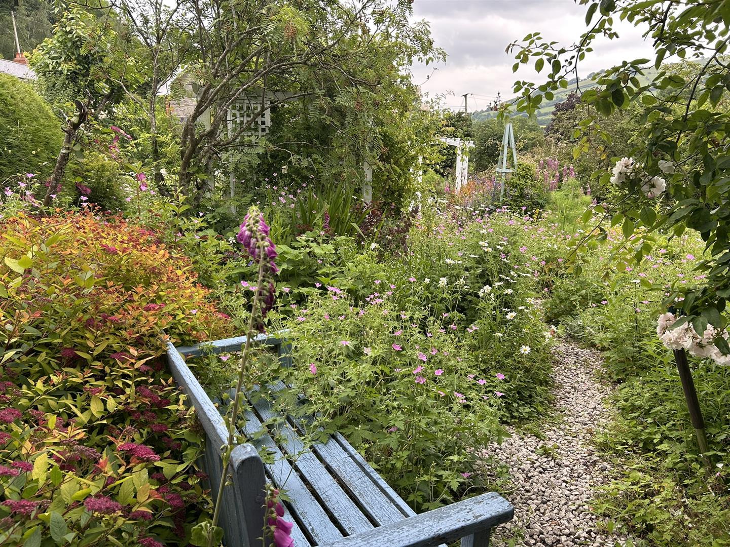 Image 29