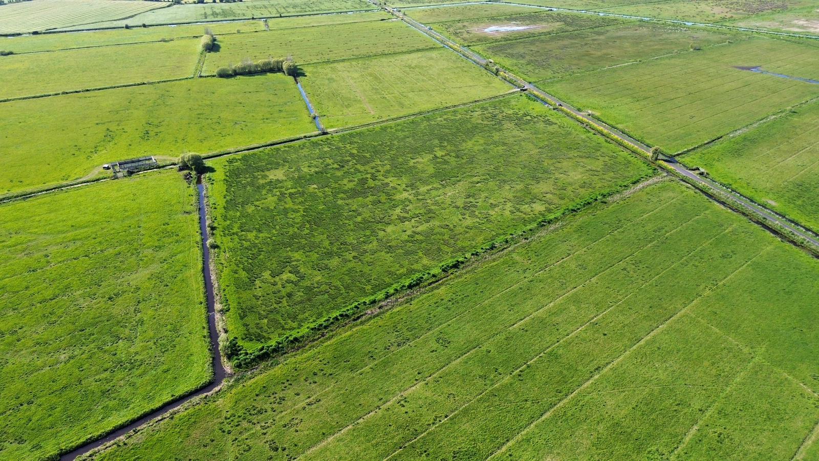 Property Image b920f2c5-07c1-41c3-806d-360adaa09b0c