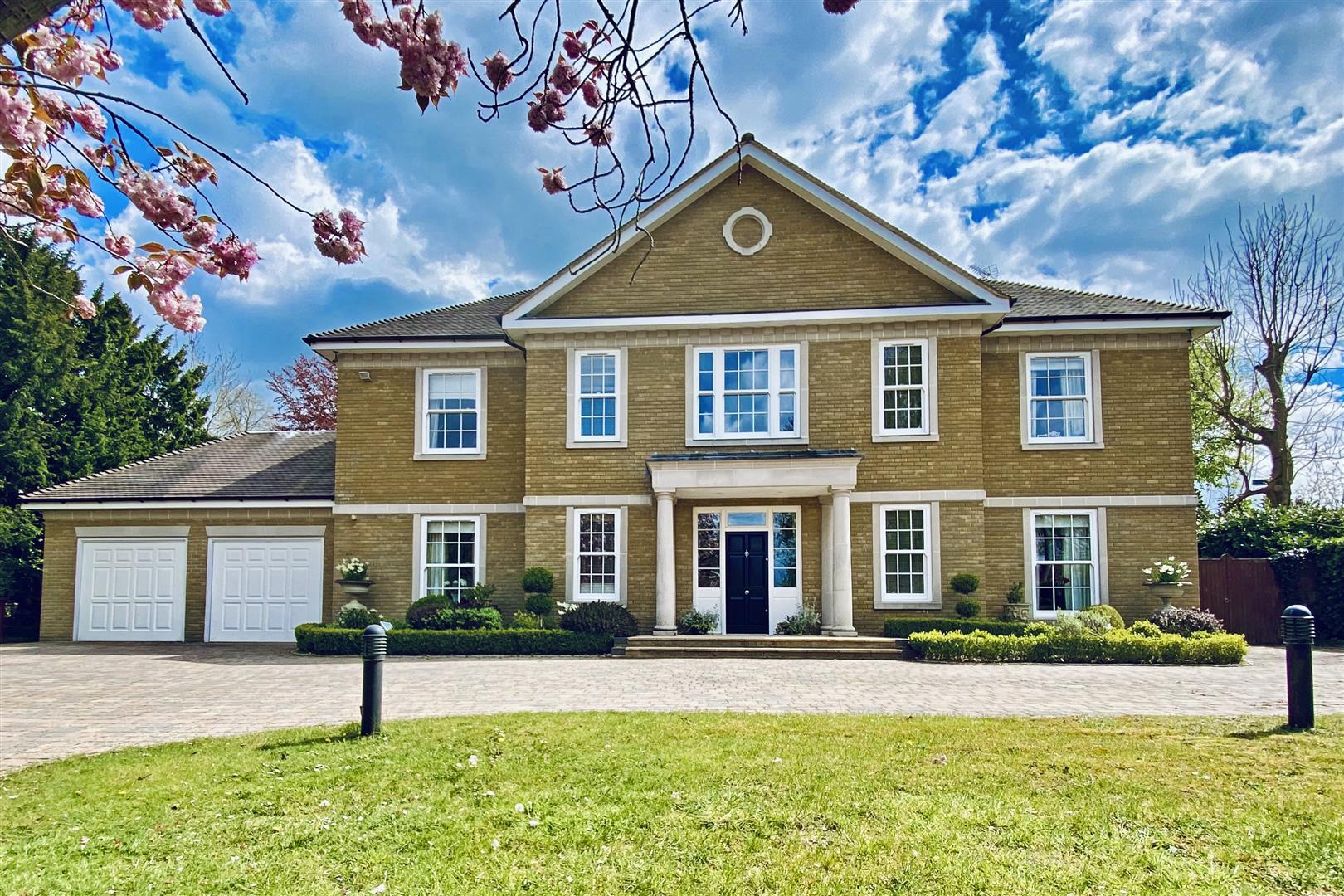 Property Image b930f87a-cfde-43d6-81d1-d2cfeec05fd2