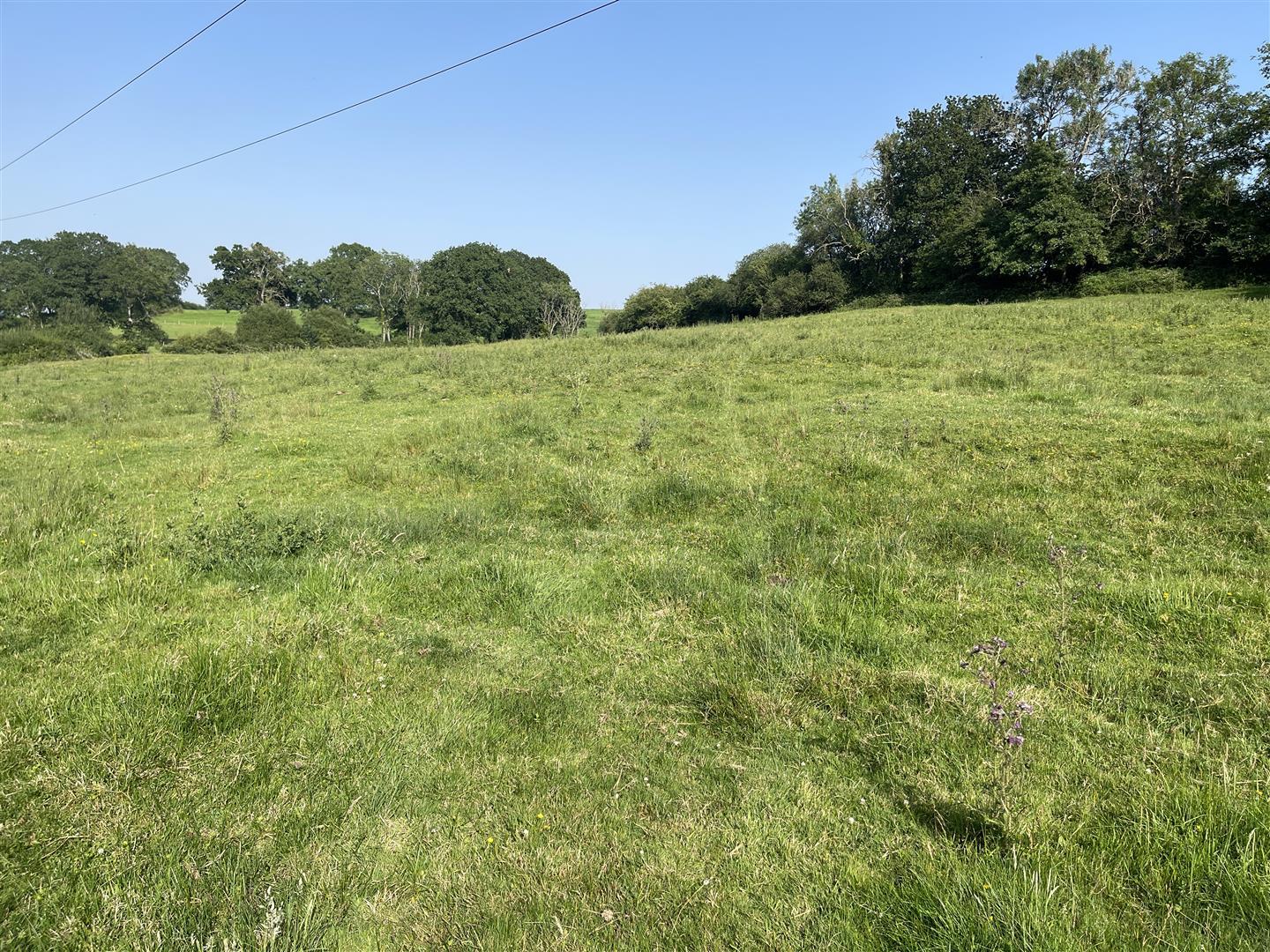 Property Image b95b0445-1080-4e98-8320-4fa02e6587f2